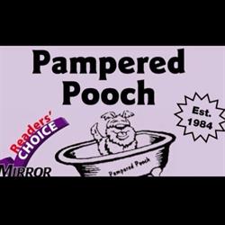 Pampered Pooch