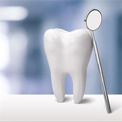 Yollick M Dr & Associates