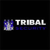 TSES Security Enforcement Services
