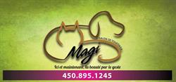 Magi Salon de Toilettage