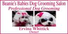 Beanies Babies Dog Grooming