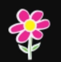 That Flower Shop on Vedder