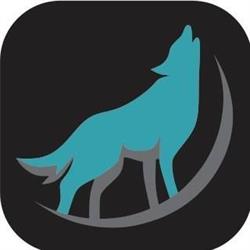 Boreal Insurance Group Inc
