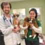 Dr. Scruton and Janice helping with some Boxer puppies Dr. Scruton and Janice helping with some Boxer puppies