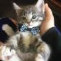 This is Benny one of our cutie patients. This is Benny one of our cutie patients.