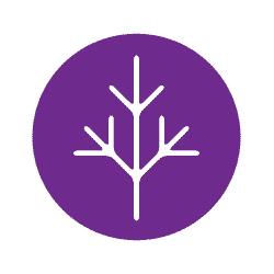 Lymphoma Canada