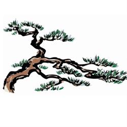 The Learning Tree Preschool - Sherwood Park