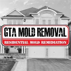 GTA Mold Removal Mississauga