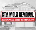 Mississauga Mold Removal
