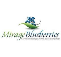 Mirage Blueberries