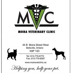 Moira Veterinary Clinic