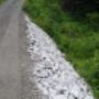 Photo Photo