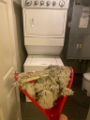 IMG-20241125-WA0006