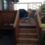 Photo Photo