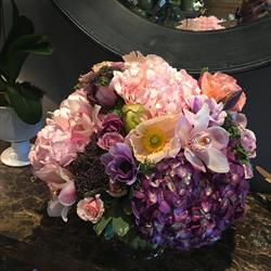 PARTERRE FLOWERS