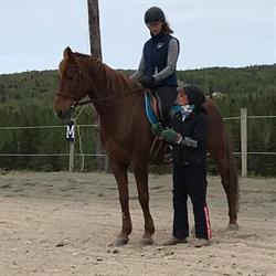 Reaching Strides Equestrian Centre