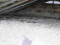 Cellulose insulation
