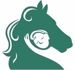 SARI Therapeutic Riding