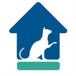 Toronto Cat Rescue