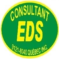 Consultant EDS Inc