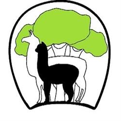 Serendipity Farm Alpacas & Llamas