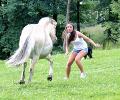 Animal Attack