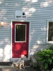 Spot On Dog Salon
