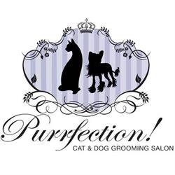 Purrfection Cat & Dog Grooming