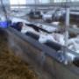 Stainless steel water troughs manufactured for local goat farmer Stainless steel water troughs manufactured for local goat farmer