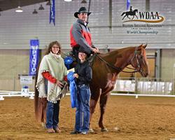 Symphony Stables