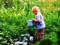 Cobblestone Farm