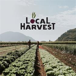 The Local Harvest Market