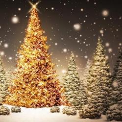 The Perfect Christmas Tree