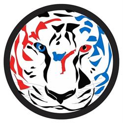 Tigers Eye Karate Do