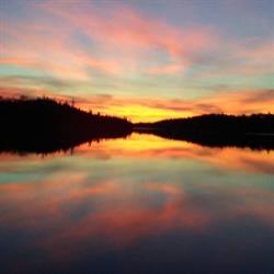 Timber Edge Camps