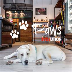 Paws Evolution
