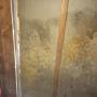 Mould Remediation
Mold Remediation
Disinfecting
Microbial Decontamination Mould Remediation
Mold Remediation
Disinfecting
Microbial Decontamination