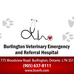 Burlington Veterinary Emergency and Referral Hospital