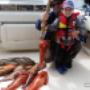 Chargé par visiteur le 2017-02-09 - father and son cod fishing catch Chargé par visiteur le 2017-02-09 - father and son cod fishing catch