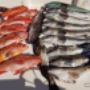 Chargé par visiteur le 2017-02-09 - load of ling cod and vermillion rockfish Chargé par visiteur le 2017-02-09 - load of ling cod and vermillion rockfish