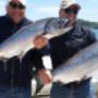 Chargé par visiteur le 2017-02-09 - pair of chinook salmon Chargé par visiteur le 2017-02-09 - pair of chinook salmon