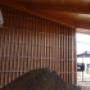 Photo Photo