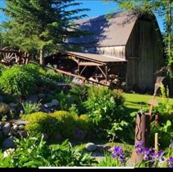Son Ranch Timber