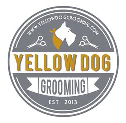 Yellow Dog grooming