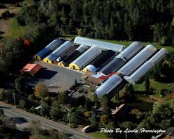 Lowland Gardens