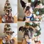 Merry Christmas from Tidy Tails Dog Grooming in Victoria! Merry Christmas from Tidy Tails Dog Grooming in Victoria!
