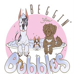 Beggin For Bubbles