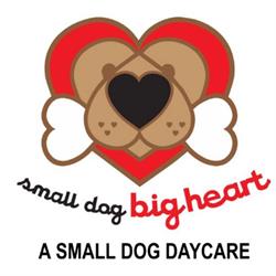 Small Dog Big Heart Daycare North Vancouver