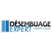 Désembuage Expert