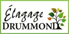 Élagage Drummond
